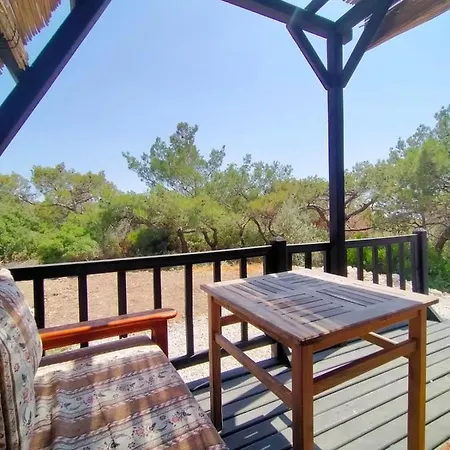 Patara 1 Каш